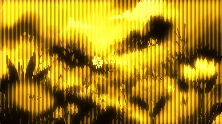 Digitalism cho Affinity: Amber