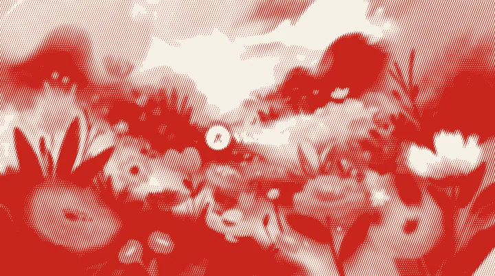 Woodcut for Affinity: Red